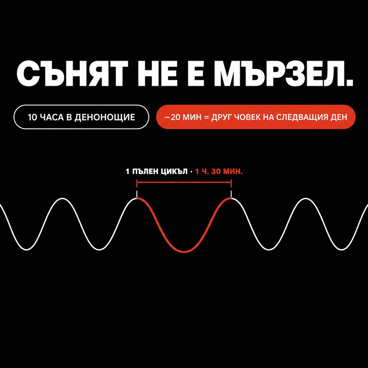 Сънят не е мързел. 10 часа в денонощие, пълен цикъл от час и половина.