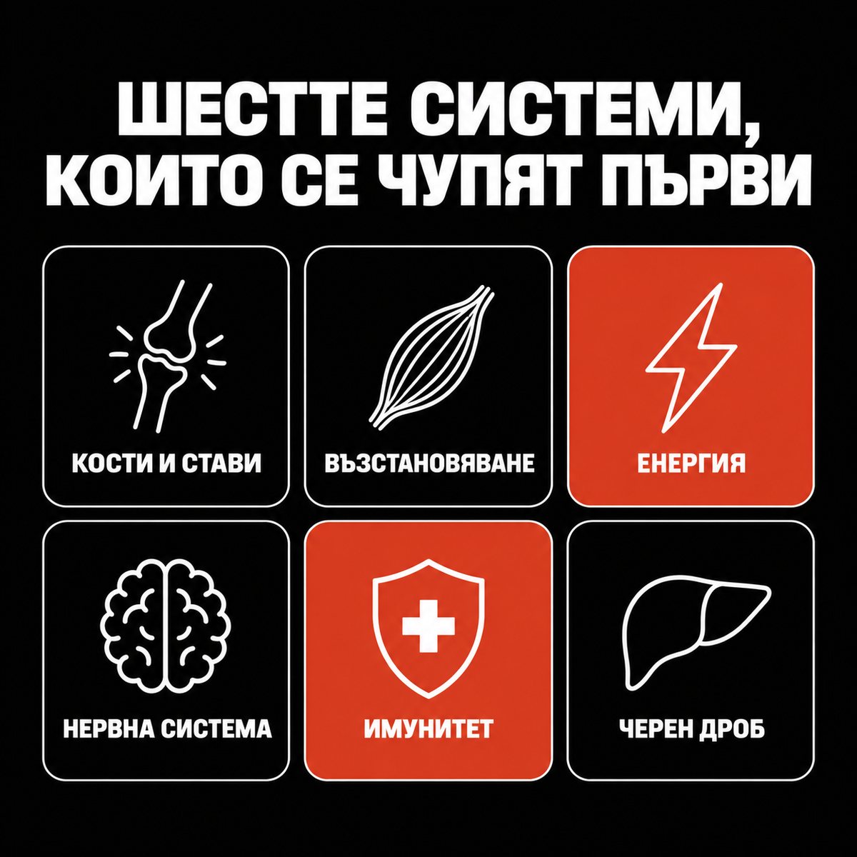 Шестте системи, които се чупят първи: кости и стави, възстановяване, енергия, нервна система, имунитет, черен дроб.